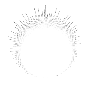 Intermezzo Studies